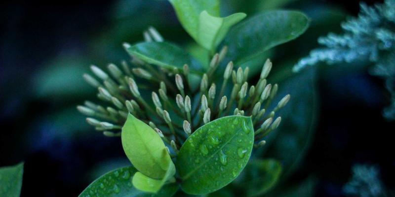 3D打印42:从创意设计到增材制造的完整革命