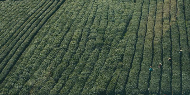 3D打印73：增材制造如何重塑三维设计的未来边界