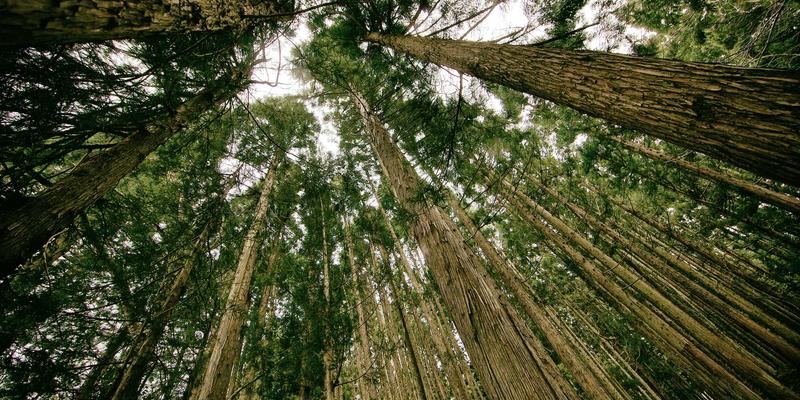 3D打印：从三维设计到创意实现的增材制造革命