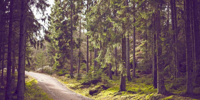 3D打印建筑：从创意设计到实体房屋的可行性、成本与案例深度解析