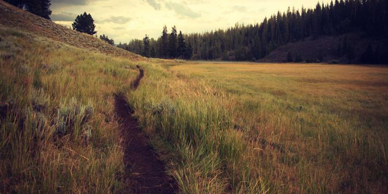 3D打印技术深度解析:从增材制造原理到3D建模全流程