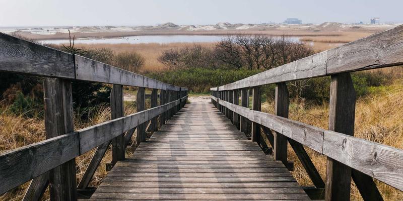 三维设计与数字制造如何驱动汽车轻量化？3D打印技术的创新应用与核心挑战