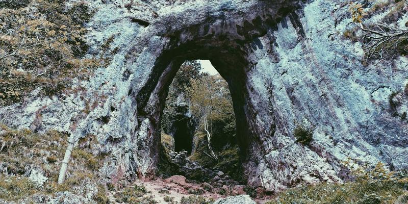 从3D建模到绿色制造：探索可生物降解与回收塑料在创意设计中的新路径