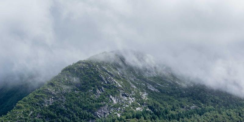 从3D建模到骨骼重塑：三维设计如何革新骨科植入物与定制化假肢制造