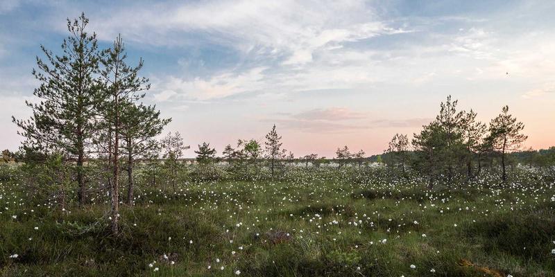 从三维设计到实体：3D打印如何重塑数字制造新纪元