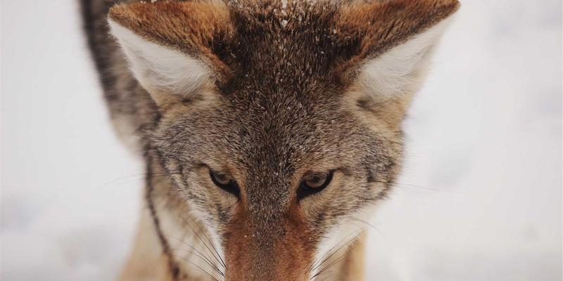 从三维设计到精准实现：详解3D打印如何重塑隐形牙套、种植导板与义齿制作全流程