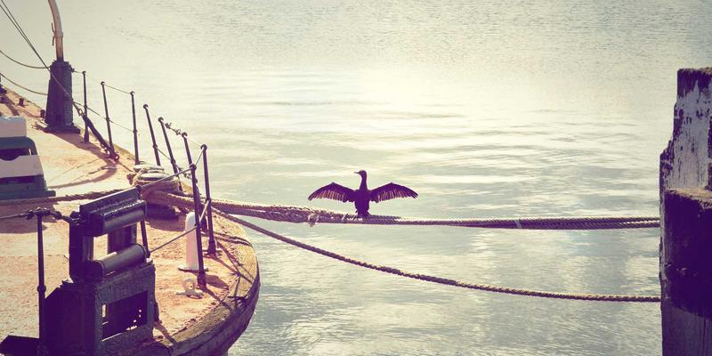 创意设计与3D建模：3D打印如何重塑定制化助听器外壳的未来