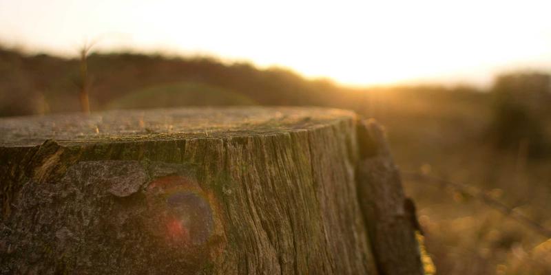 创意设计与3D建模如何驱动3D打印在汽车制造业的变革：从原型验证到未来整车制造