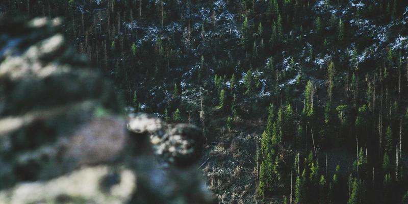 创意设计与数字制造的融合：3D建模如何重塑从足部扫描到个性化鞋履定制的全流程