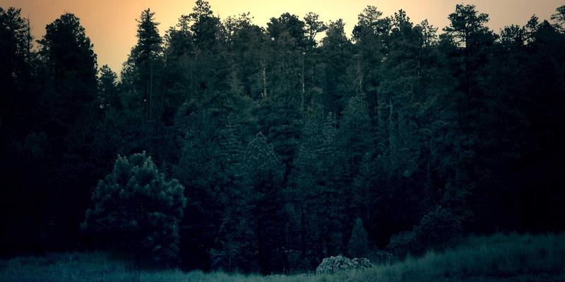 创意设计新维度：增材制造与3D建模如何革新微流控芯片快速原型开发