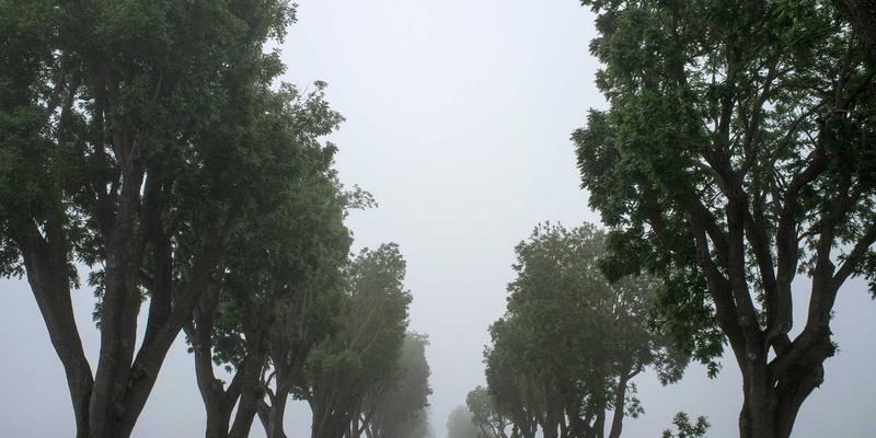 食品3D打印：增材制造如何重塑创意设计与未来营养定制